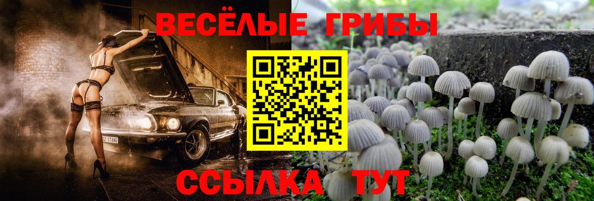Галлюциногенные грибы мухоморы  Вход с VPN  цены   Самара 
